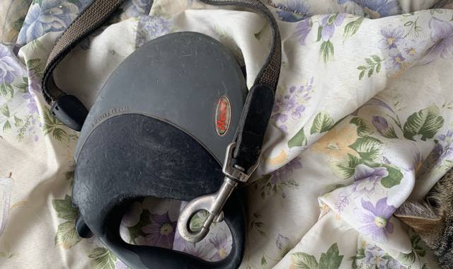 Accessoires pour animaux laisse enrouleuse