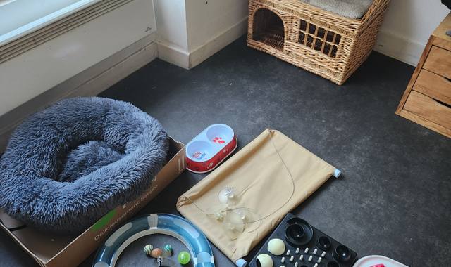 Accessoires pour animaux uRGENT : donne plusieurs objets pour chat