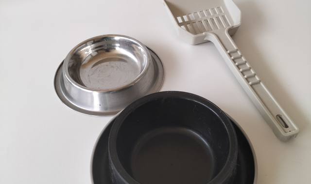 Accessoires pour animaux accessoires pour chat