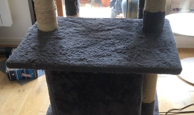 Accessoires pour animaux arbre à chat