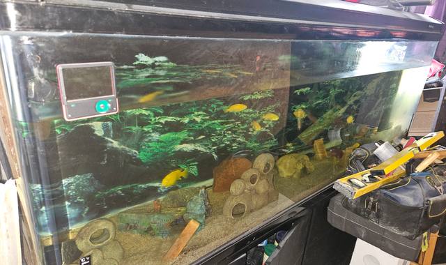 Accessoires pour animaux aquarium 500 litres avec pompes 1200litre