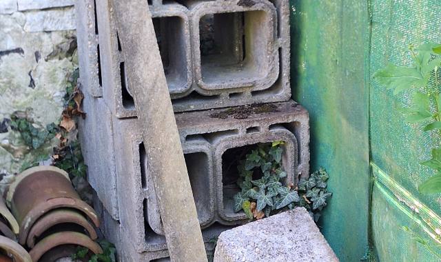 Bricolage plot double betion