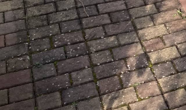 Bricolage 25 m2 de pavés