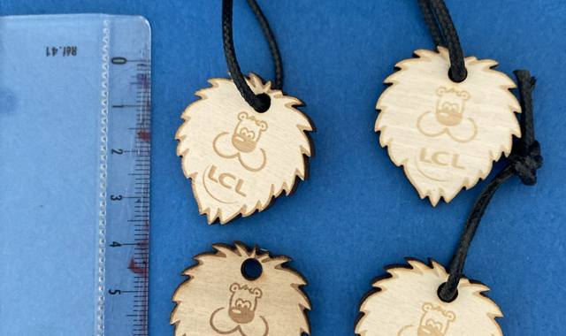Collection 4 porte cles lcl