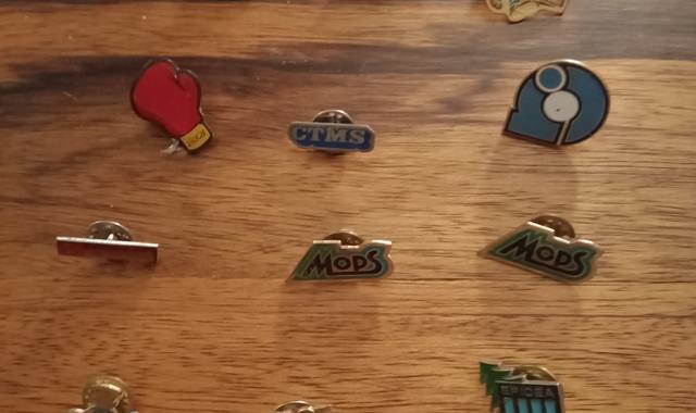 Collection pin's