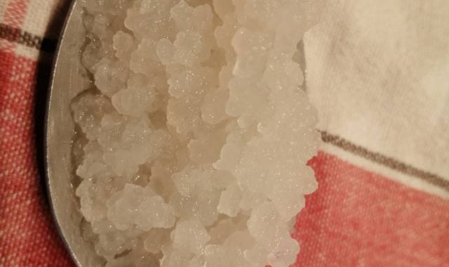 Divers grains de Kéfir de fruits