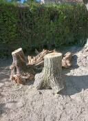 Divers bois de chauffage