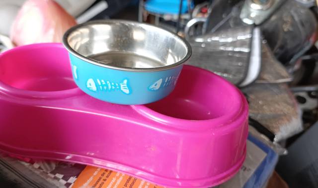 Divers gamelle pour chat