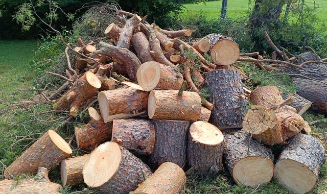 Divers stères de bois