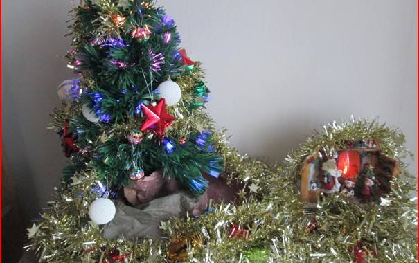 Divers petit sapin à poser sur 1 meuble, branches dépliables illuminées (2ans) + décos