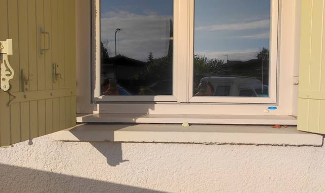 Divers feunetre PVC ET VOLET BOIS