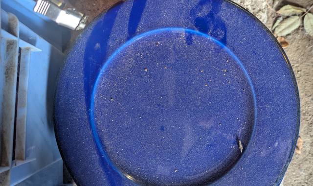 Divers 13 assiettes bleues