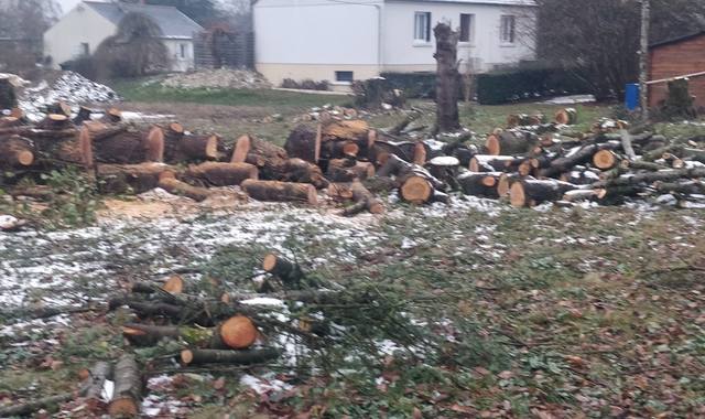 Divers bois de chauffage