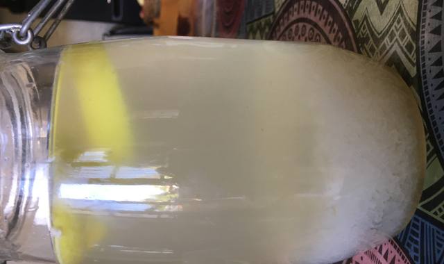 Divers grain de kéfir