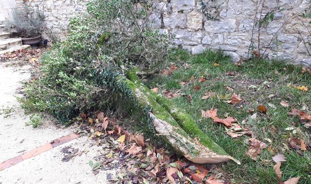 Divers bEAU BUIS coupé novembre 2023