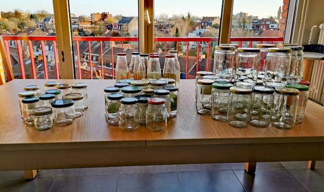 Divers bocaux en verre toutes tailles