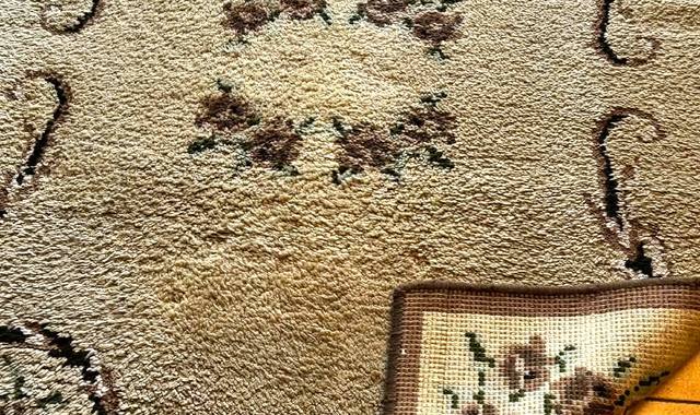 Divers tapis de salon