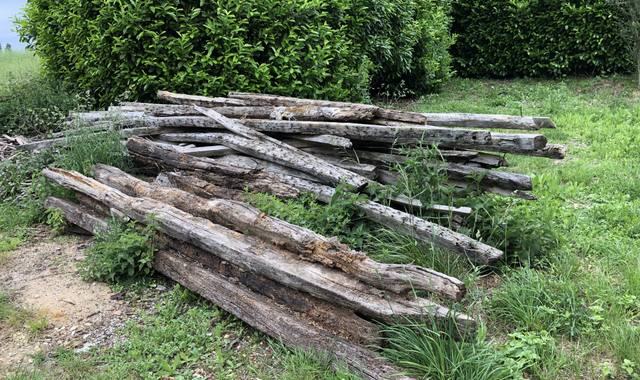 Divers bois de charpente en peuplier