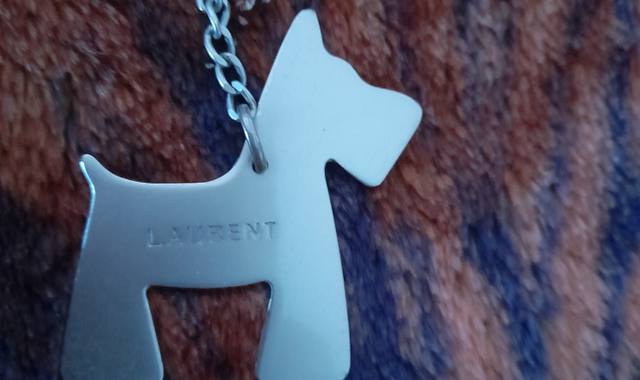 Divers porte clé chien