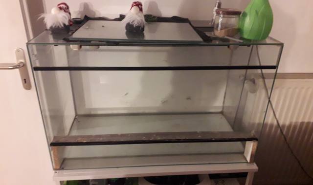 Divers terrarium, pour gecko, serpent, ou autre