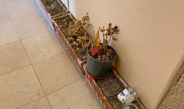 Divers jardinières en terre