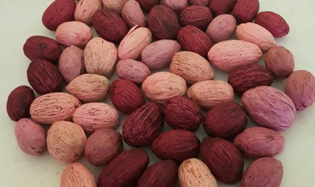 Divers lot de 62 fausses noix décoratives (camaieu de couleur rose)