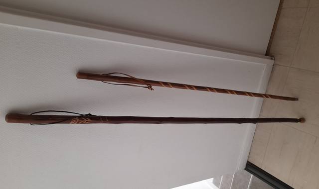 Divers canne pour randonnée