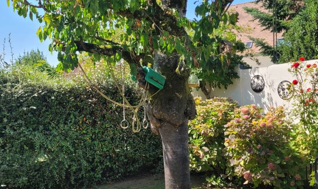 Divers 2 arbres/ bois sur pied a debiter sur place