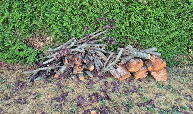 Divers je donne bois de chauffage