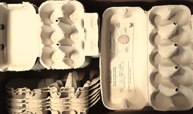 Divers lot de boites d'oeufs en carton - tailles diverses