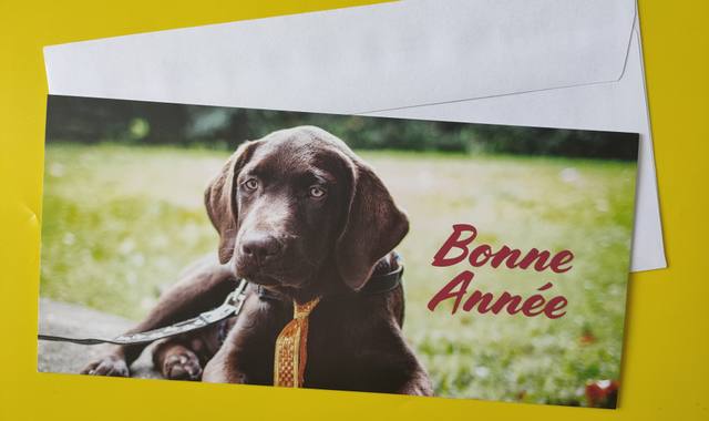 Divers carte Bonne année "Chien noir"