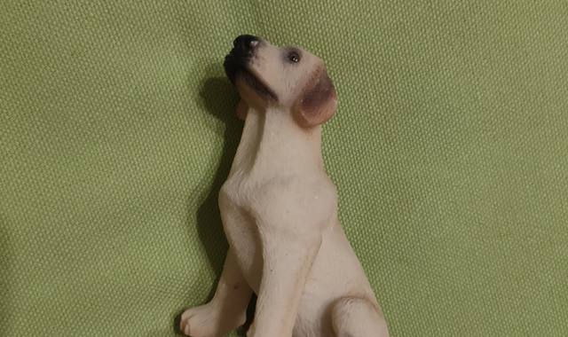 Divers chien golden en résine