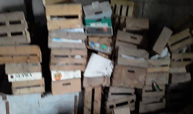 Divers cagettes et planches en bois