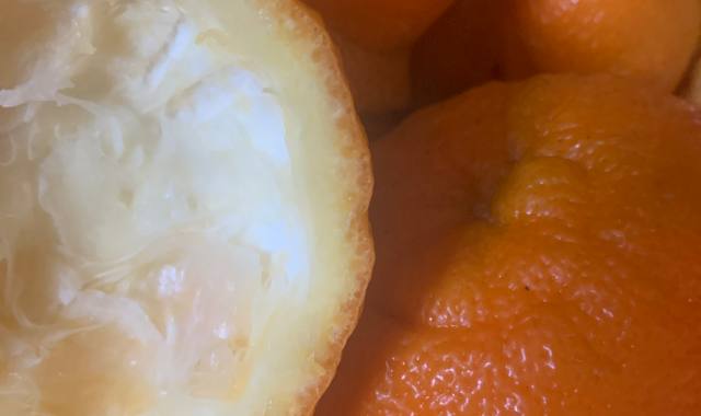 Divers pelures d’orange amère bio