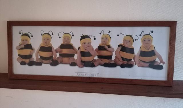 Divers tableau Anne Geddes