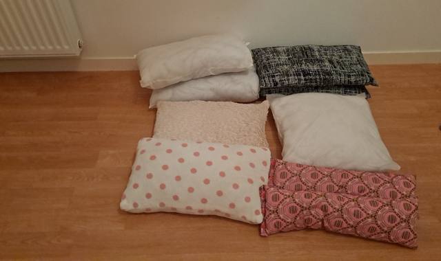 Divers je Donne  coussin
