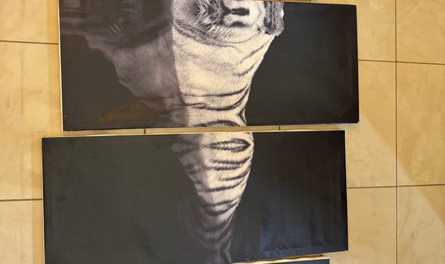 Divers tableau Tigre