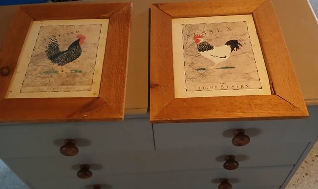 Divers deux cadres coqs