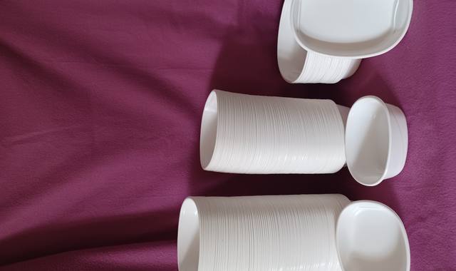 Divers barquettes plastique comme neuve