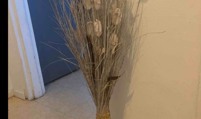 Divers fleurs séchées pour décoration