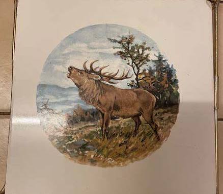 Electroménager Dessous de Plat en Céramique