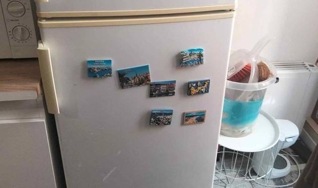 Electroménager gratuit frigo congélateur