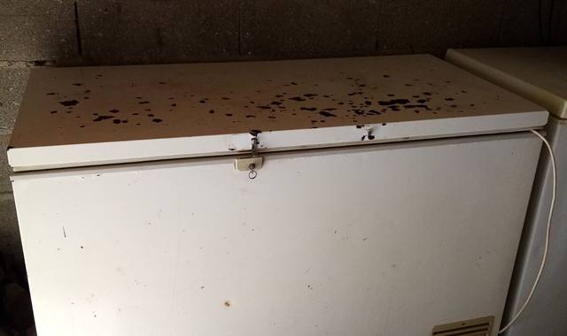 Electroménager cONGELATEUR 129  /62.5 / 82 cm   URGENT