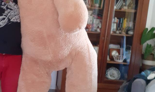 Equipements pour Bébé, Enfants, Puériculture Ours peluche