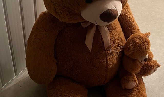 Equipements pour Bébé, Enfants, Puériculture grand nounours