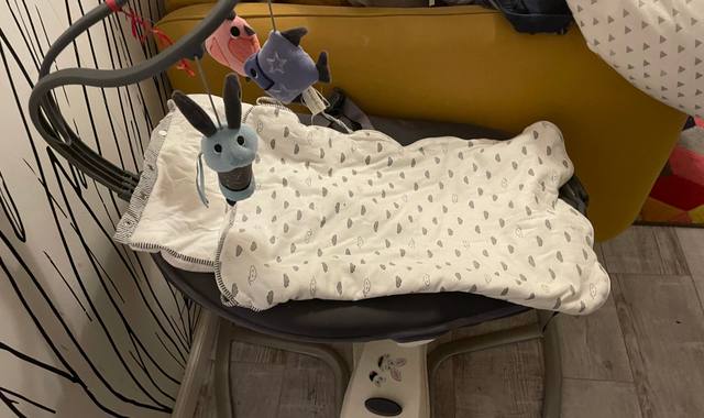 Equipements pour Bébé, Enfants, Puériculture transat bébé babymoov