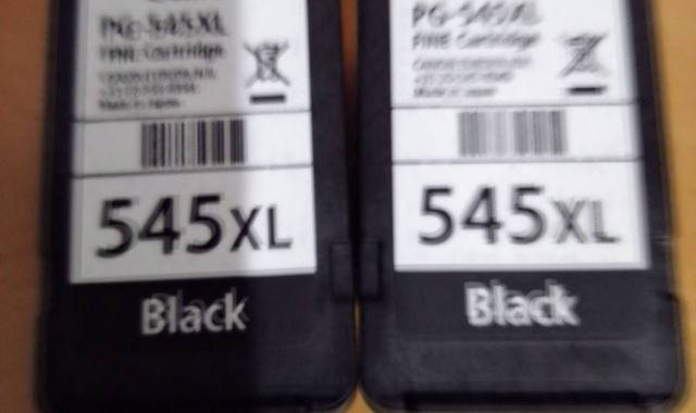 Informatique deux cartouches encre CANON 545 XL