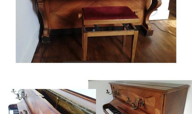 Instruments de musique piano Droit Pleyel