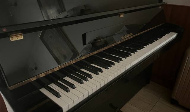 Instruments de musique piano droit WILH.STEINMANN