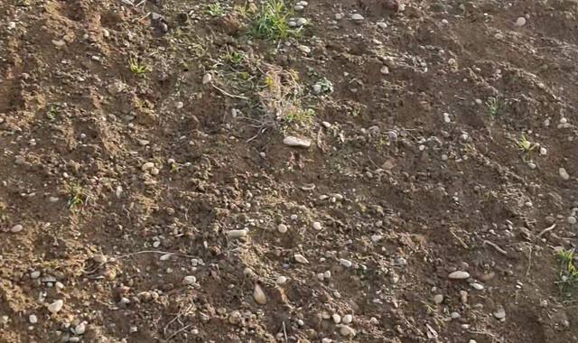 Jardinage terre à récupérer sur place